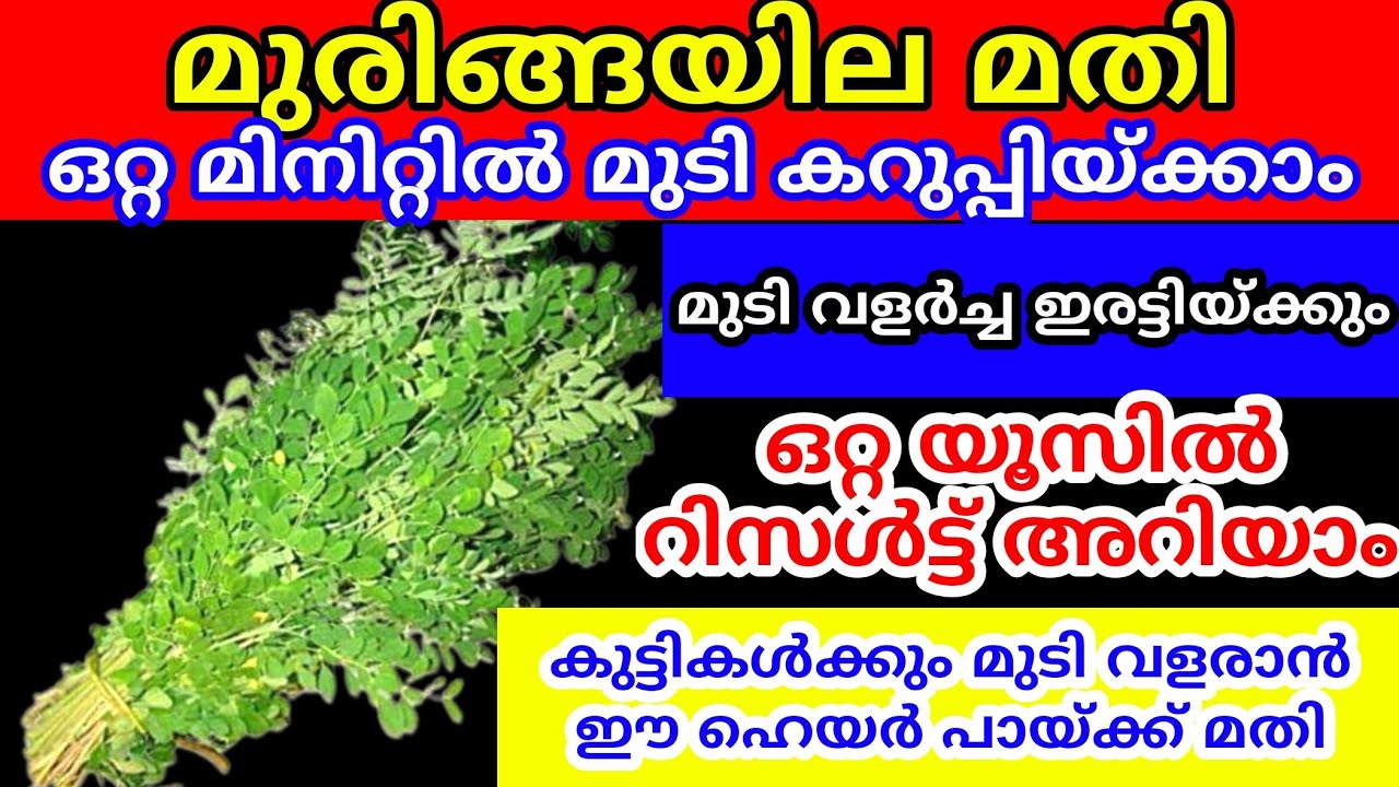 മുരിങ്ങയില മതി മുടിയുടെ വളർച്ച കൂട്ടാനും കിടിലൻ ഹെയർ ഡൈ ഉണ്ടാക്കാനും | Natural hair dye| Hair dye
