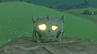 Zelda Breath of the Wild funny moments in Hyrule. BOTW