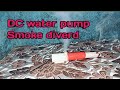 Dc water pump project ideas diy home project #diy #experiment #automobile #electricmotor #dcmotor 