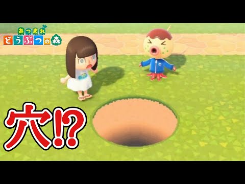 【あつ森】巨大な穴が出現!?【あつまれどうぶつの森】
