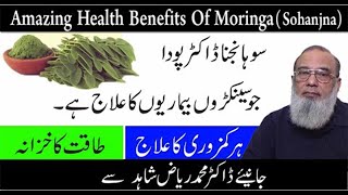 Amazing Health Benefits Of Moringa Leaves || Sohanjna Ke Fayde In Urdu Hindi