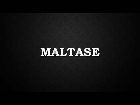 Maltase