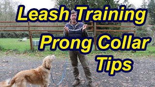 Tips for leash training your dog with prong collar by My Dog Training Spot 5,484 views 2 years ago 12 minutes, 39 seconds