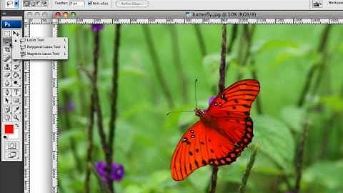 Photoshop 1.2 The Crop Tool