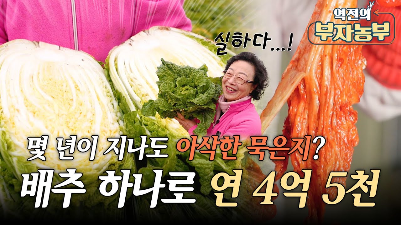 [역전의부자농부 390회] 종갓집 대대로 내려온 젓갈 & 묵은지 비법 전격공개 !