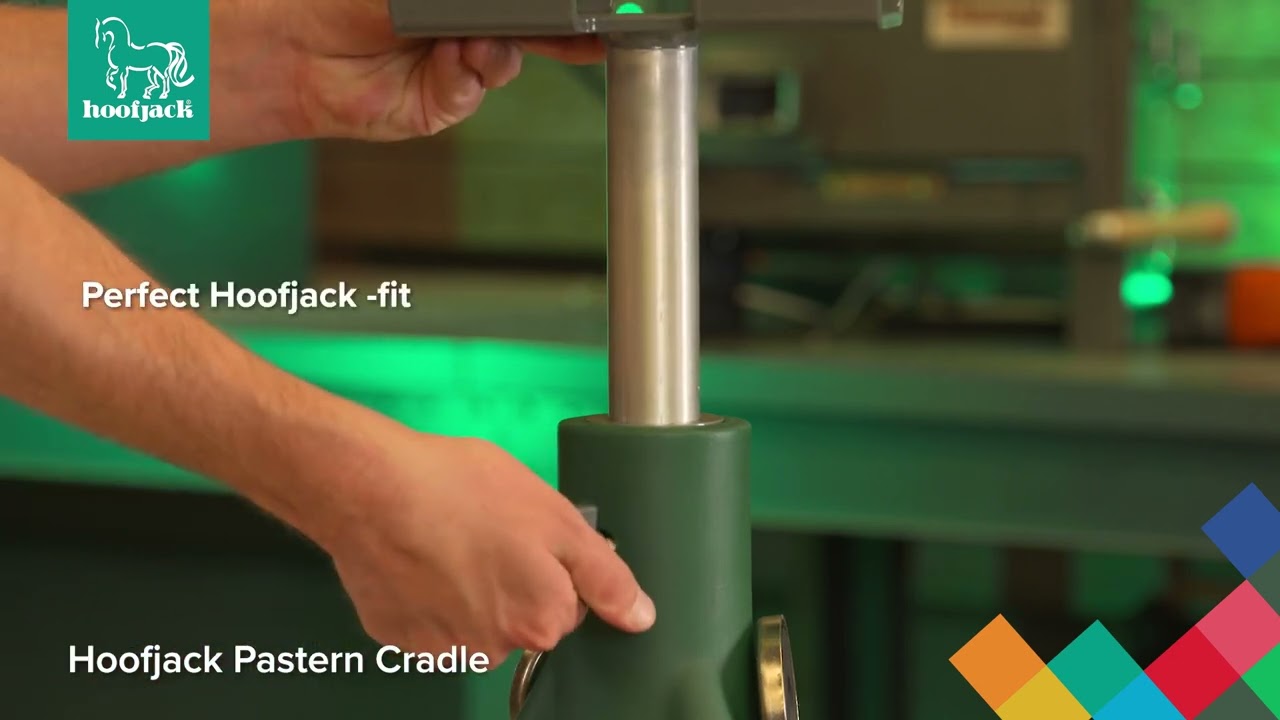 Cavallo Con Maniglie AS21038 || Dimensione Comunità S.r.l - Foto 5