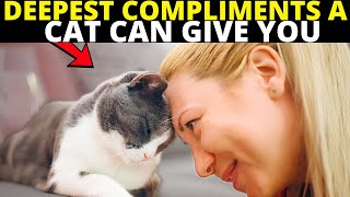7 Hidden Compliments Cats Give And Only 2% of Owners Ever Notice