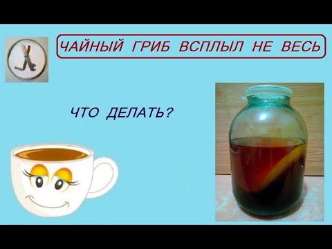 Если чайный гриб не всплыл полностью и стоит боком