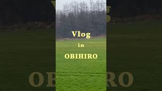 Vlog in Obihiro ⛩️🐮🍺 #trippinohokkaido #hokkaido #sapporo #spring2024 #Obihiro