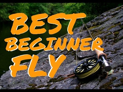 BEST Beginner Fly Fishing Rod Outfit 