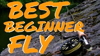 BEST Beginner Fly Fishing Rod Outfit