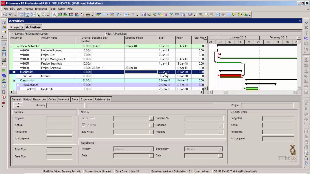 Professional Gantt Chart