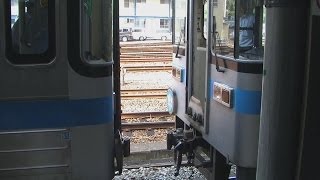 【徳島駅1番線】徳島線461D入換→増結