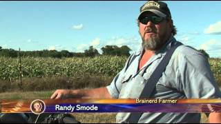 The U.S. Department of Agriculture Expects Record-Breaking Yield of Corn Crops This Year-Lakeland