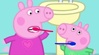 小猪佩奇 | 精选合集 | 1小时 | 小猪佩奇的新鞋子 | 粉红猪小妹| Peppa Pig Chinese |动画