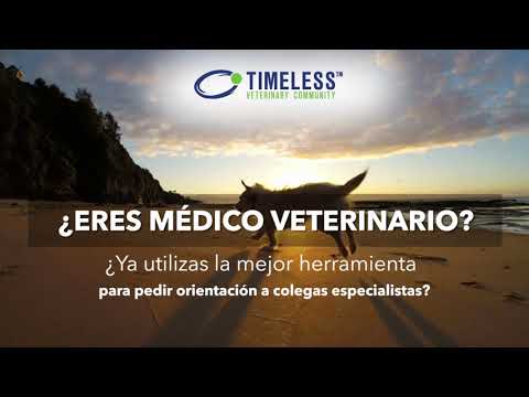 TIMELESS, Telemedicina Veterinaria Profesional