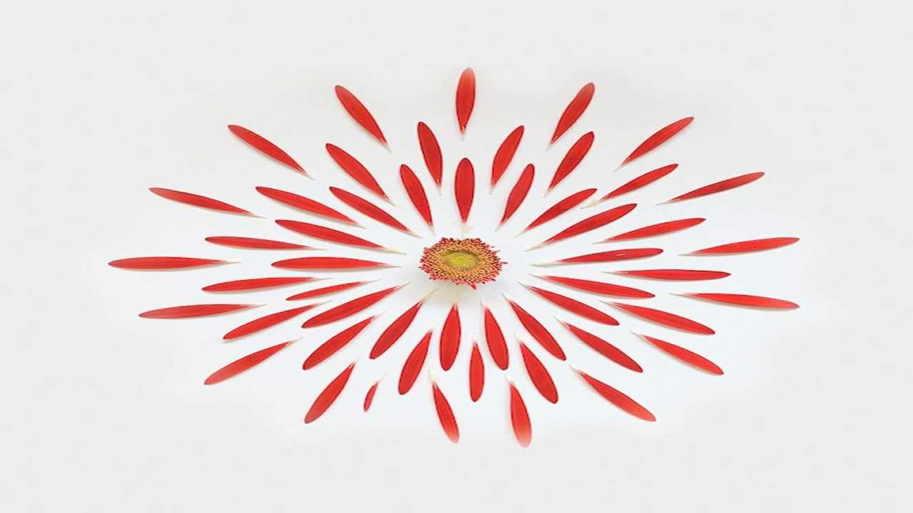 SAMBOX - Solstice auf YouTube ansehen SAMBOX - Solstice auf YouTube ansehen