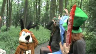 teaserekoraidceerrf2012
