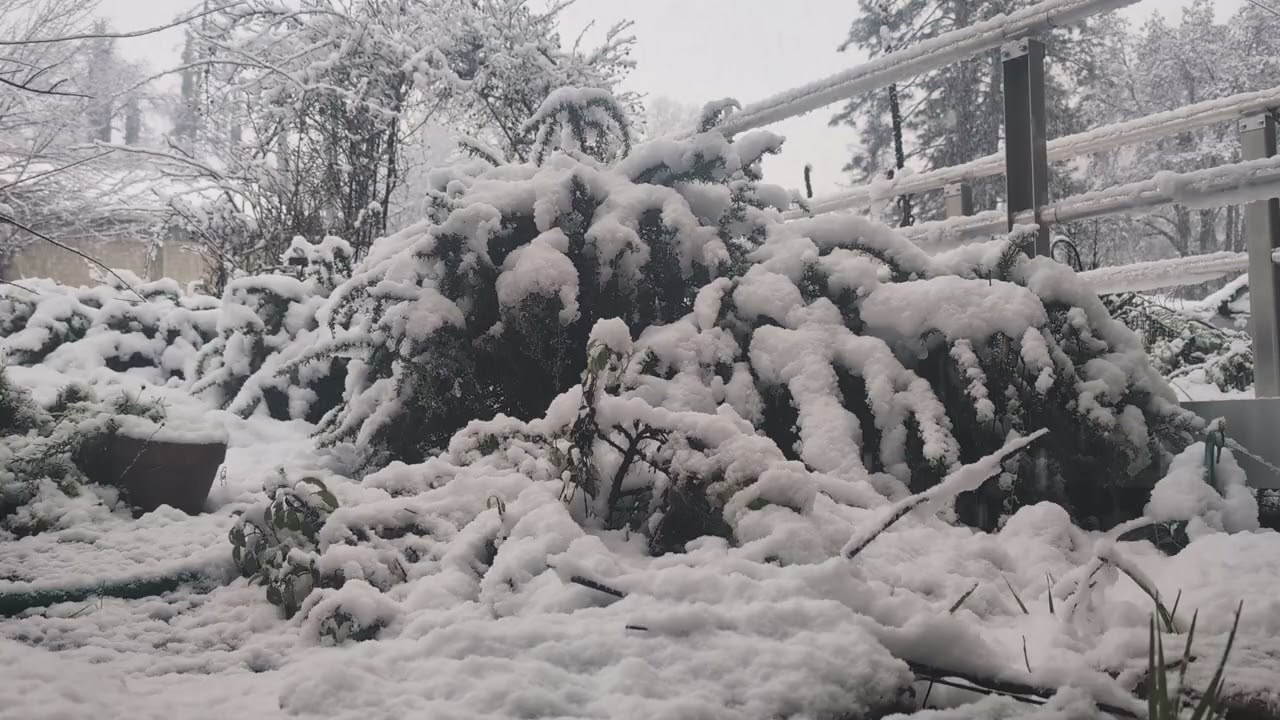 Watch the snow from my porch with me. 