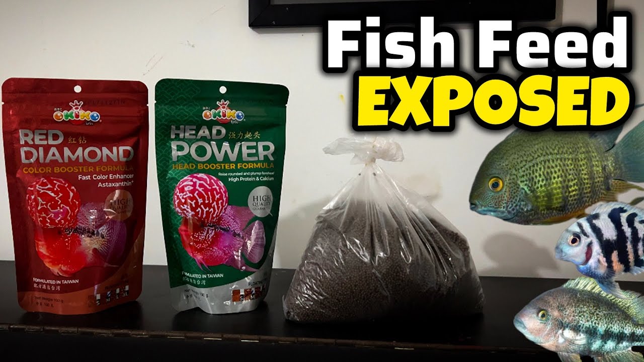 Fish Feed Restock Day! What I Feed My Fish Collection - Imran’s World