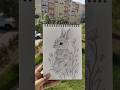 Found a Rabbit today🐰😲wanna know where ??#art#pencildrawing#rabbit#animals#ytshorts