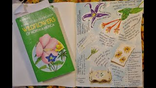 NATURE JOURNAL 2 Journaling Projects: Zooming in on Flowers, Collecting Blossoms for the Press