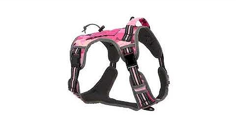 360 Spin Video for Amazon - Dog Harness - Product Photography China