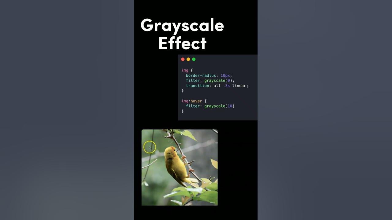 Grayscale Effect using Pure CSS css grayscale effects YouTube