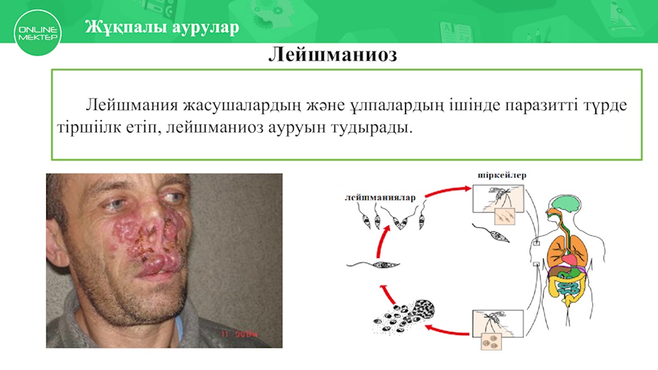 Әлемдегі ең сексуалды 10 әйел Викториямен порно көру
