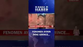 Daha Fazla İzlenmek İçin Ayının İnine Giren Fenomen