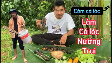 [Vlog] Cắm cá đêm | Cá lóc nướng trui | Nướng cá ngoài thiên nhiên