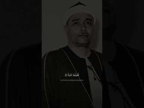 ق ط وف ه ا د ان ي ة مصطفى إسماعيل سورة الحاقة 