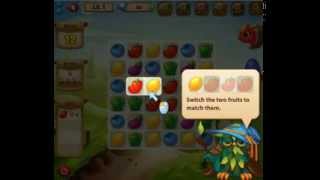 Pig & Dragon - Level 1