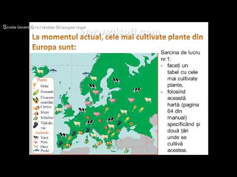 Activitatile economice - Lectie de geografie - Geografia Europei