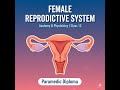 Female Reproductive System | Anatomy and Physiology (12th Class)| Paramedic Diploma| Online Learning