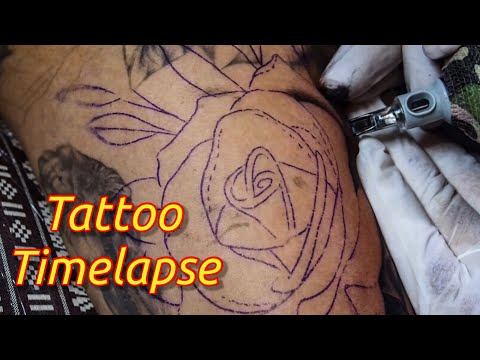 Tattoo Timelapse ลายสักดอกกุหลาบหลังแขน