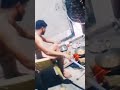patrik niwas pr chicken party ... gaon wali feelings sb ek sth