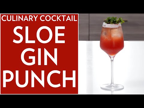 culinary-cocktail:-sloe-gin-punch