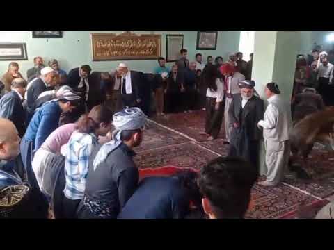 تشریف فرمایی جناب آقای خلیفه کاوه تیموری و جمعی از درویشان خانقاه حضرت شیخ محمد نجار از سنندج 