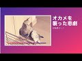 #オカメインコ#ウロコインコ　オカメインコを襲った悲劇