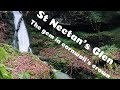 St Necton’s Glen Cornwall