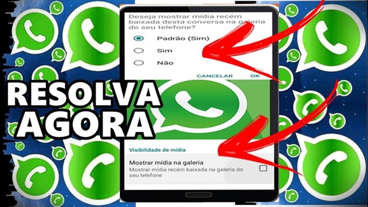 As imagens que são enviadas para mim no WhatsApp não aparecem na