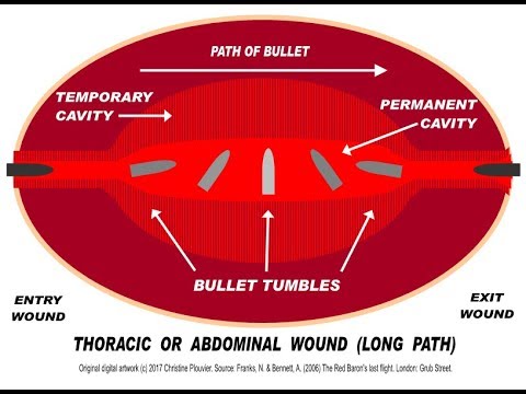 Caccia al cinghiale e di selezione Balistica Terminale: il devastante fenomeno Tumbling