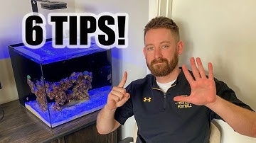 Tips for Beginner Reefers | Nano Saltwater Reef Tanks