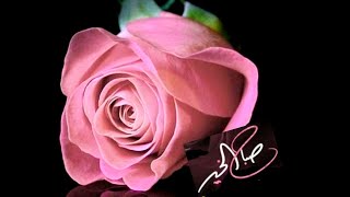 بطاقات الصباح🌹اقتباسات الصباح🌹 صباحيات 2024🌹اقتباسات حالات واتس🌹 #حالات🌹#الصباح🌹#ستوريات_نور🌹 screenshot 2