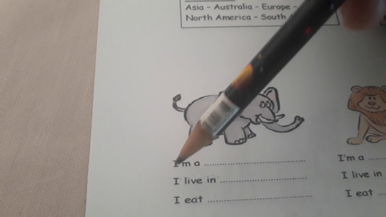 ANIMALS COSTUMES YouTube