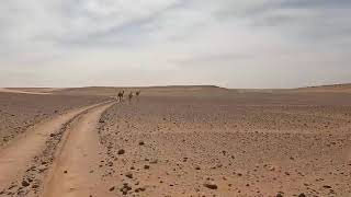 ETs seen on Richat Structure Center Island (Atlantis)