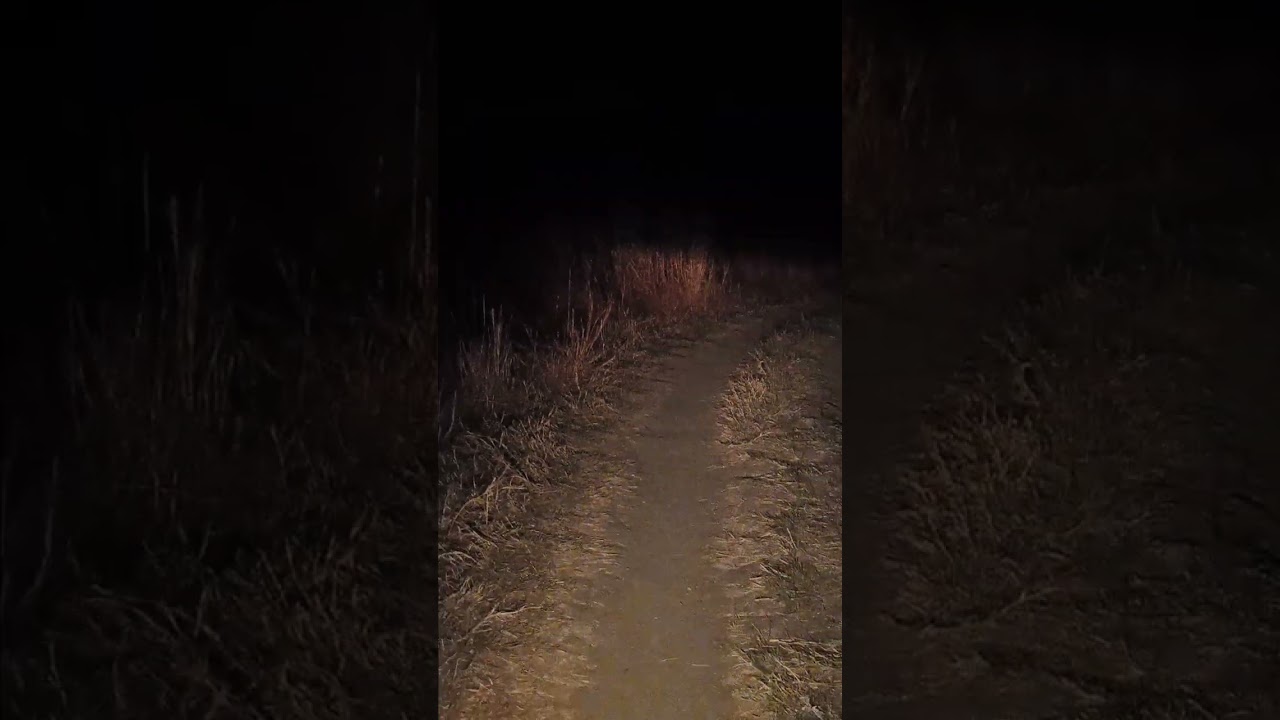 Rial ghost video rial bhoot ka video #viral ghost video #