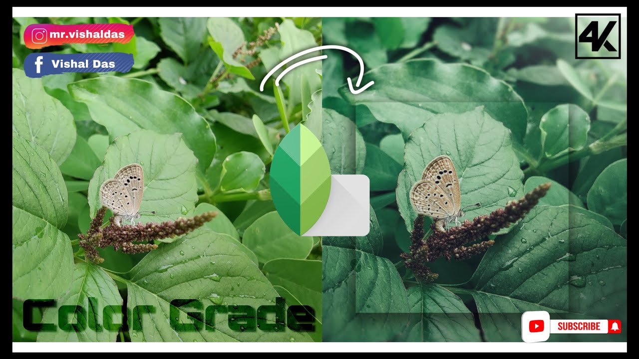 Color Grading using Grainy Film & Curves in Snapseed | Editing Tutorial in 4K | iOS/android