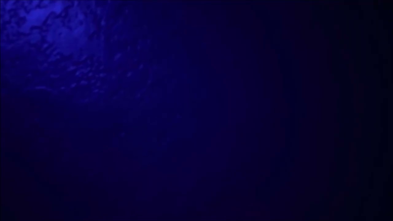 How those myspace bands were moving in their prime